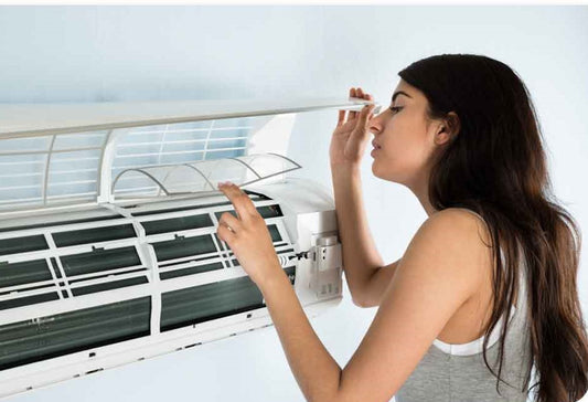 Clearing the Air: Toxicity Levels in Schools and Buildings