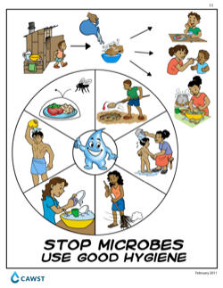 Hygiene and Health: Why is it important to go green today?