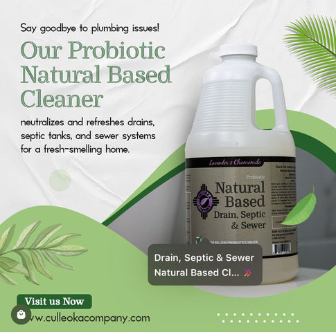 Eco-Friendly Cleaning: Why Going Green is Better for Your Home and Business